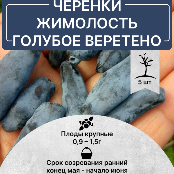 Черенки жимолость Голубое Веретено в интернет-магазине pitomnik-nasledie.ru